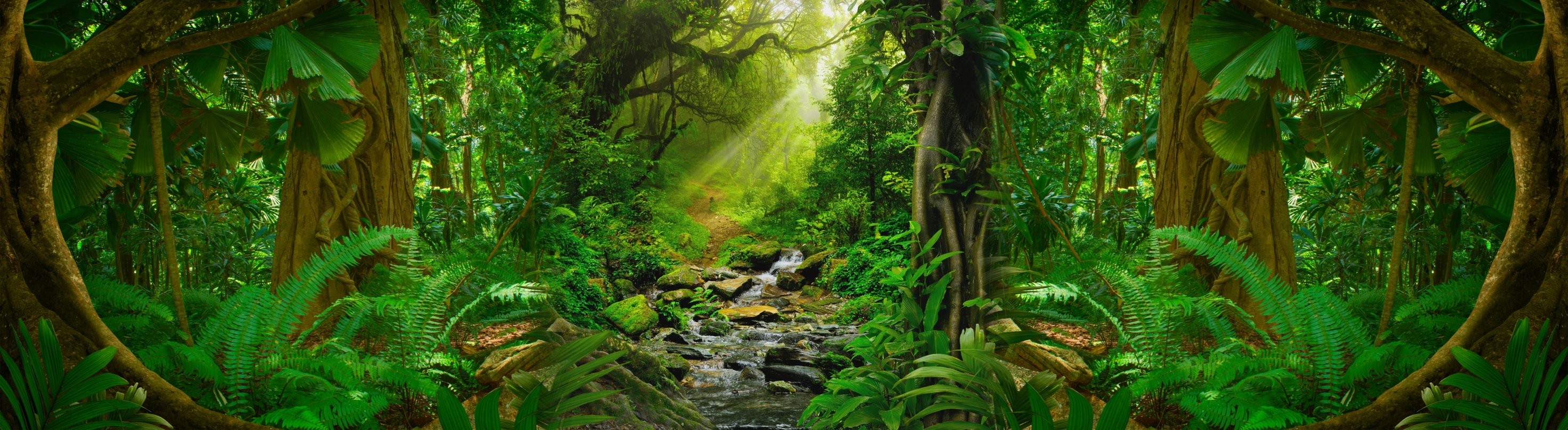 Amazônia — Amazônia 3.jpg