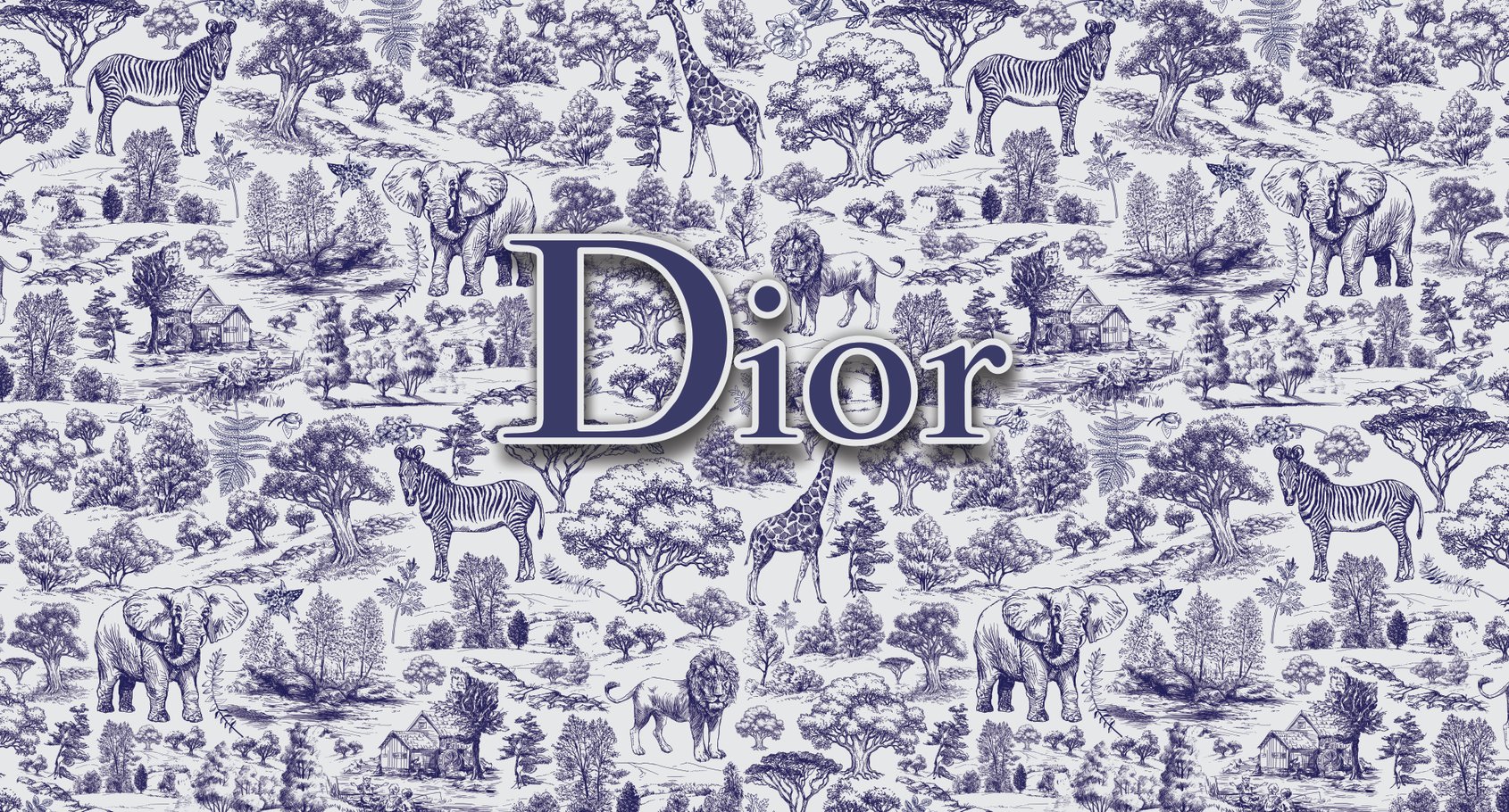 Capa do tema Dior — Gustavo Faggiani Design